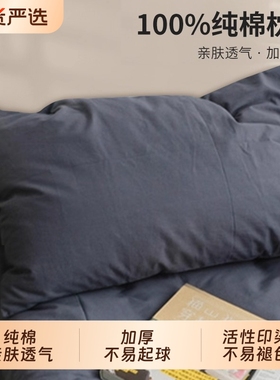 名创优品枕头套全棉纯棉一对装枕套单个枕芯保护隔离层48cmx74cm