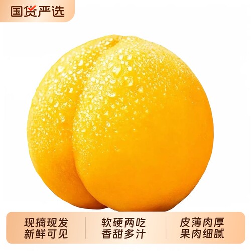 锦绣黄桃脆蜜桃子应当季孕妇水果整箱新鲜水果时令特产现摘现发