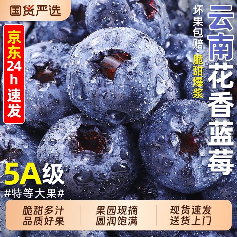 蓝莓鲜果新鲜水果云南l25高山花香怡颗大果产地直发整箱现摘脆甜