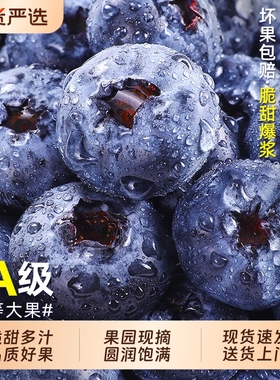 蓝莓鲜果新鲜水果云南l25高山花香怡颗大果产地直发整箱现摘脆甜