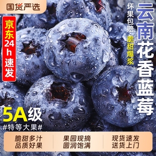 蓝莓鲜果新鲜水果云南l25蓝莓高山花香怡颗甜莓大果产地直发整箱