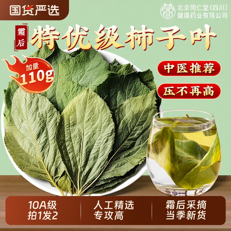 北京同仁堂干柿子叶茶降霜后血新鲜压摘打泡正品中药材官方旗舰店