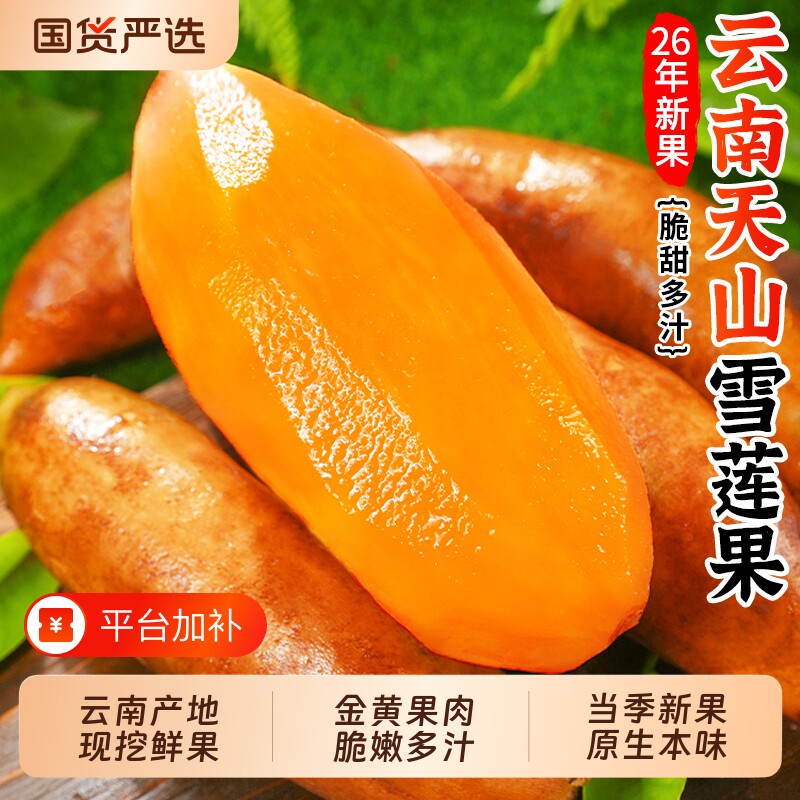 云南天山雪莲果新鲜水果当季现挖脆甜黄心雪连果时令大果整箱包邮