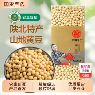 陕北黄豆新货大豆农家自种粗粮豆浆豆芽5斤真空颗粒大高蛋白豆子