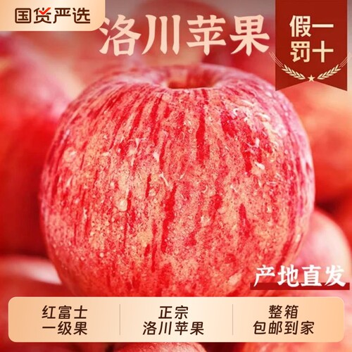 林依轮正宗洛川红富士苹果当季新鲜水果整箱陕西脆甜一级果糖心