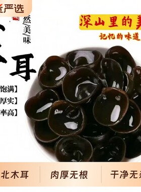 东北小碗秋木耳干货特产椴木黑木耳野生凉拌新货肉厚袋装精品新鲜