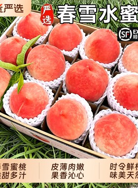 春雪水蜜桃当季5斤新鲜水果整箱