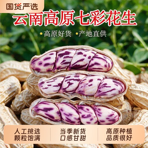 云南特产七彩花生熟制带壳