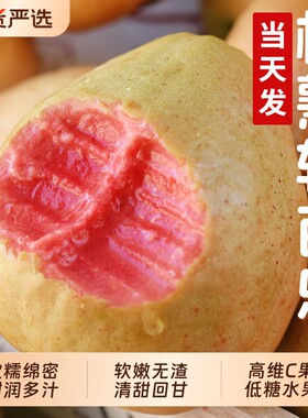 胭脂红芭乐红心番石榴新鲜水果当季软糯奶油巴乐维C满满低糖水果