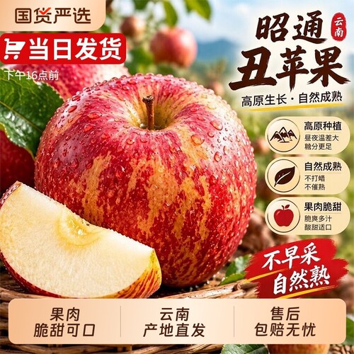 【云南昭通丑苹果新鲜水果直发】