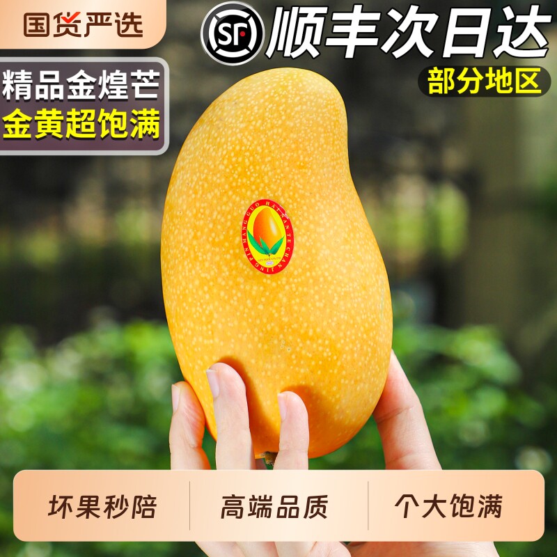 顺丰速达正宗广西金煌芒芒果新鲜水果当季特产贵妃台芒整箱包邮甜