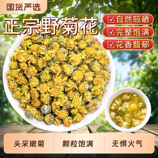 正宗野菊花中药材纯野生天然无硫小野菊清热去火养生茶野菊花泡澡