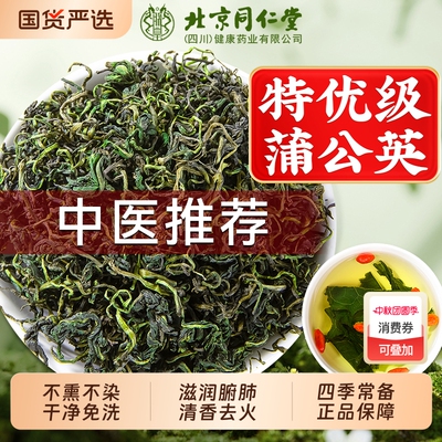 北京同仁堂蒲公英茶新鲜特级野生