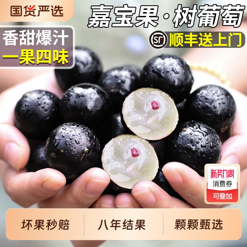 顺丰速达嘉宝果树葡萄当季新鲜水果优选提子大果礼盒装整箱包邮