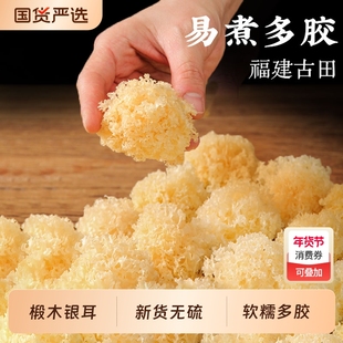 椴木小银耳干货非特级野生糯银耳羹即食冲泡易出胶雪耳朵白木耳