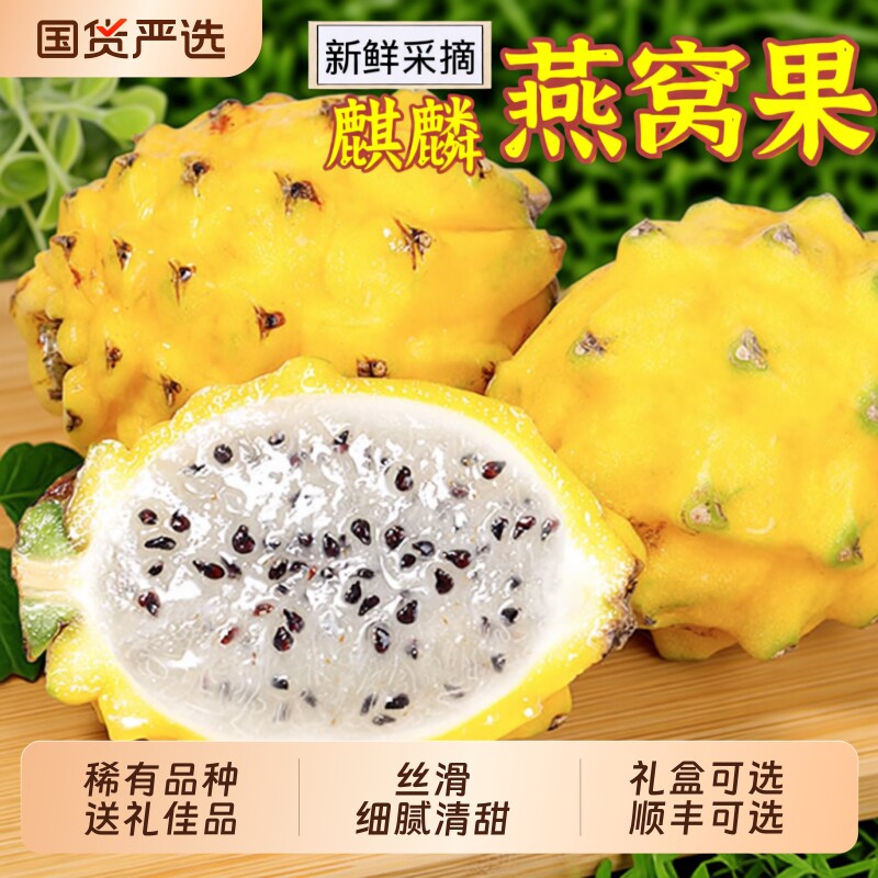 新鲜燕窝果麒麟果热带水果黄皮火龙果清甜多汁丝滑稀有燕窝果顺丰