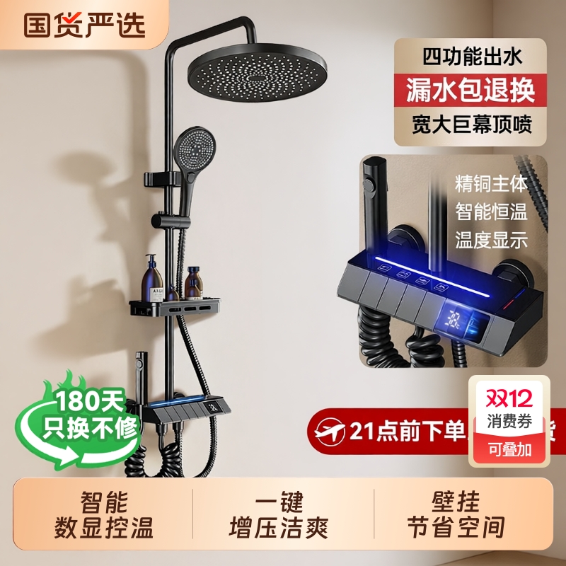 家用精铜淋浴花洒增压套装