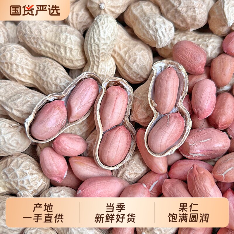 新鲜带壳的生花生干货批发晒干带壳花生农家散装白沙花生米大颗粒