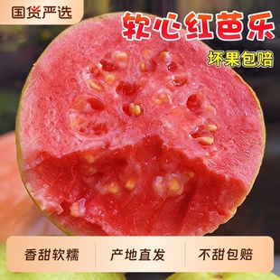 番石榴脆甜胭脂红整箱现发 应季 广西软糯红心芭乐5斤新鲜水果 包邮