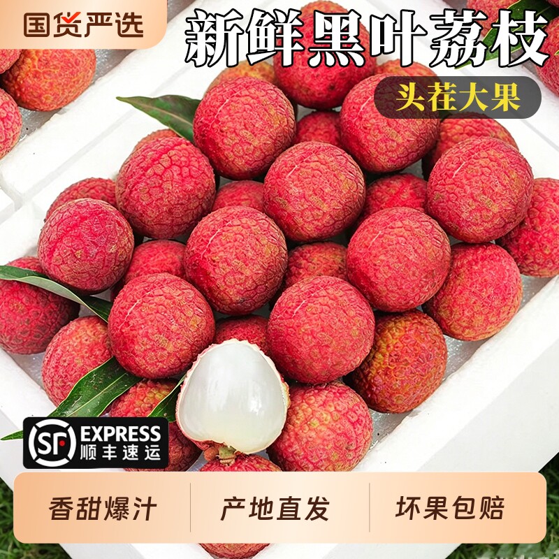 顺丰速发福建黑叶荔枝新鲜现摘现发老树果水果当季整箱包邮甜应季