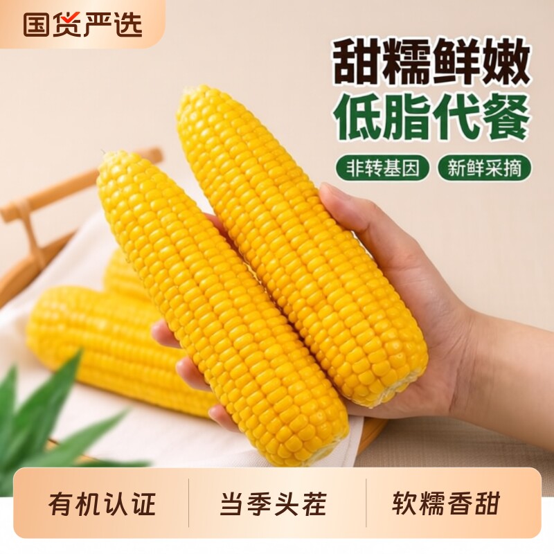 5斤头茬非转基因黄糯玉米新鲜糯甜非即食 东北苞米 真空装包装袋