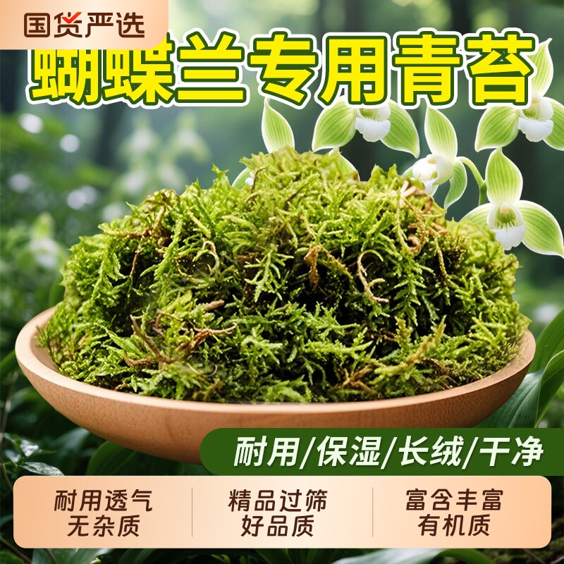 干苔藓天然青苔石斛兰花种植土乌龟垫材蝴蝶兰花专用水苔园艺植物