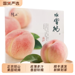 正宗无锡阳山水蜜桃当季新鲜水果现摘毛桃子白凤湖景礼盒装次日