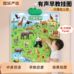 宝宝早教有声挂图婴幼儿童认知启蒙点读发声书玩具识字墙贴学说话