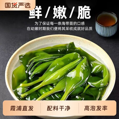 闲岛主霞浦海带苗嫩苗无特级新鲜盐渍海带嫩苗非干货火锅凉拌商用