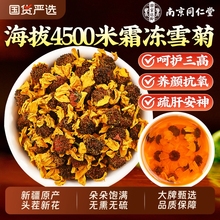 同仁堂昆仑雪菊养生新疆正品特级雪菊花茶胎菊野生官方旗舰店