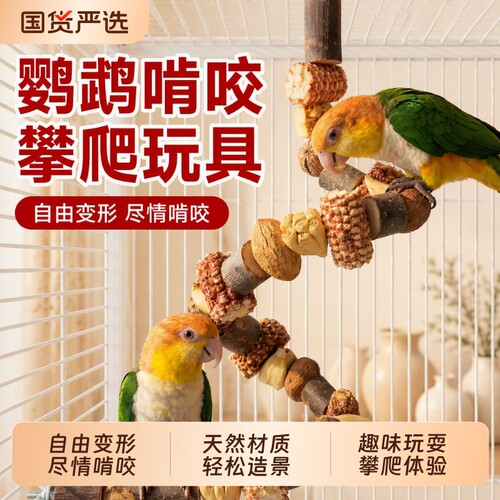【鹦鹉站杆】天然干果趣味玩耍