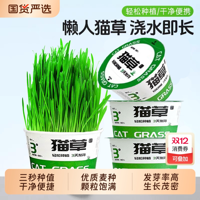 【全网热销100W+】懒人泡面猫草