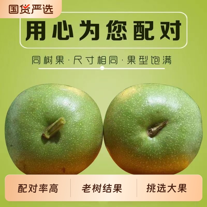 青皮文玩核桃赌官帽四座楼苹果园白狮子蛤蟆头虎宫灯蛤蟆头手把盘