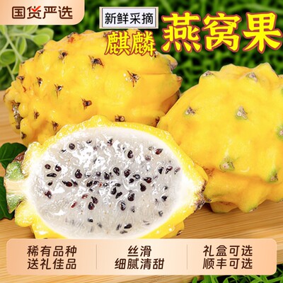 新鲜燕窝果麒麟果热带水果黄皮火龙果清甜丝滑稀有顺丰送礼品种
