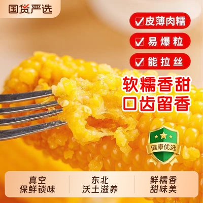 头茬东北黄糯玉米粘糯香甜玉米新鲜非转基因早餐代餐饱腹粗粮香甜