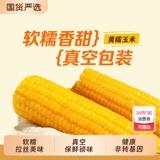 正宗东北黄糯玉米真空包装250g*10根券后15.8元包邮