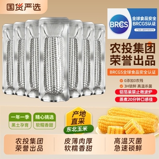 【农投】黄糯玉米240-280g*8根银箔装