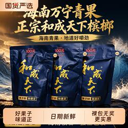 海南万宁果100和成天下槟榔海纳百川海南青果槟榔正品