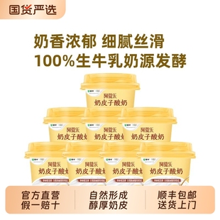 蒙牛阿慕乐奶皮子风味酸奶传统工艺低温厚下午茶早餐原味