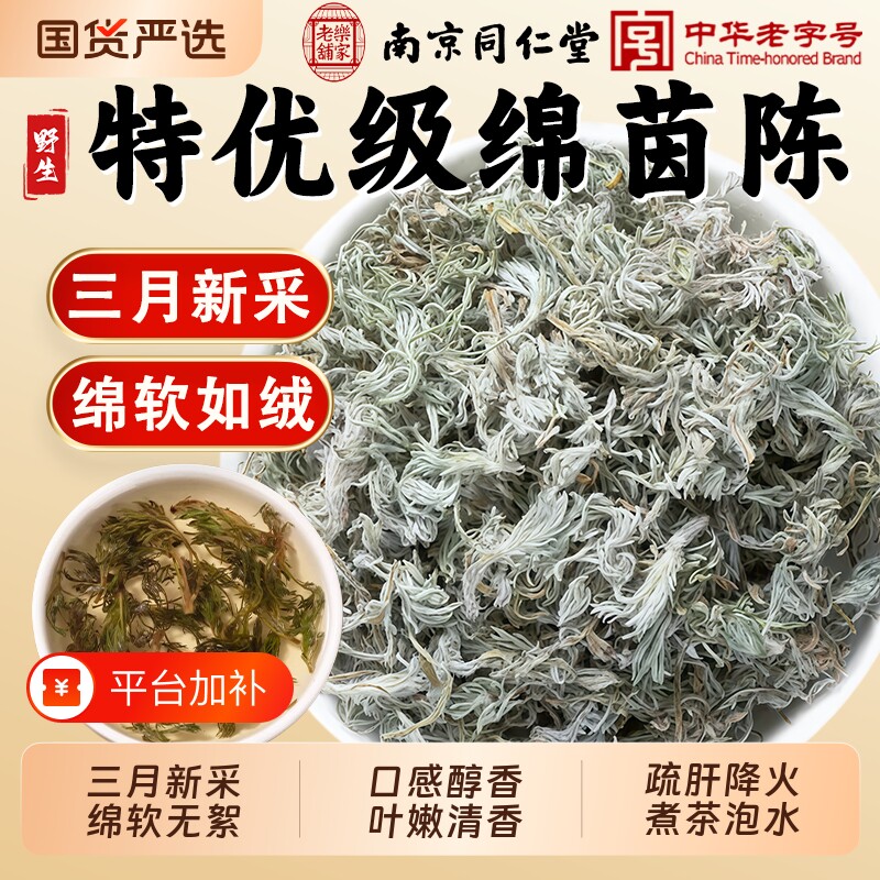 南京同仁堂野生棉茵陈中药材正品白蒿新鲜整株棉茵陈三月嫩茵陈蒿