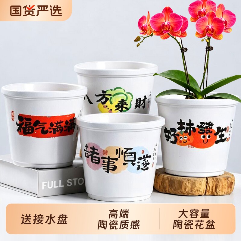 新款陶瓷花盆家用大号花瓶蝴蝶兰吊兰多肉红掌室内盆简约带托盘图片