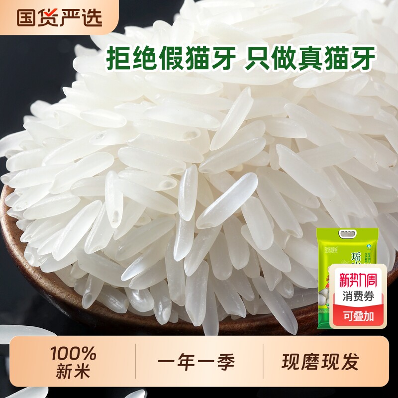 瑶山丝苗米长粒大米籼米猫牙米优质农家米真空包装梯田普通原粮