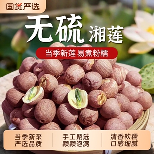 带芯莲子干货500g特级连子粒中药材湘莲米红皮有芯红莲肉湖南湘潭