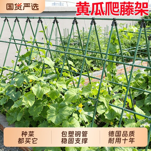 黄瓜爬藤架四季豆架杆