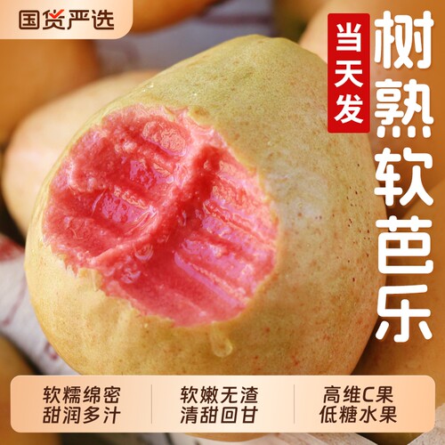 胭脂红芭乐红心番石榴新鲜水果当季软糯奶油巴乐维C满满低糖水果