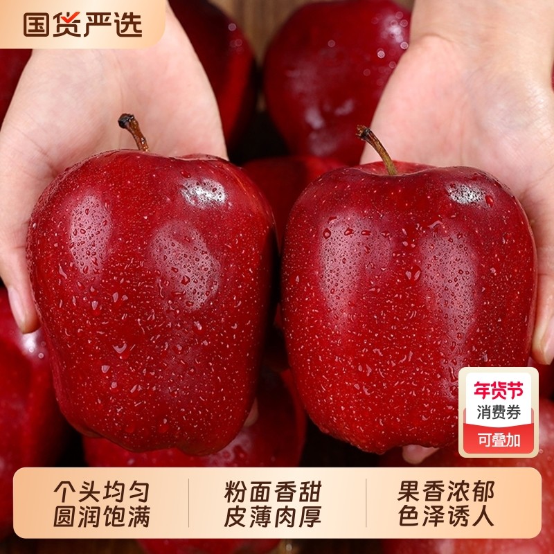 粉面香甜甘肃天水花牛苹果当季新鲜水果产地直发刮泥包邮年货节,水产肉类/新鲜蔬果/熟食,苹果,淘宝优惠券,粉丝福利购,淘宝优惠卷