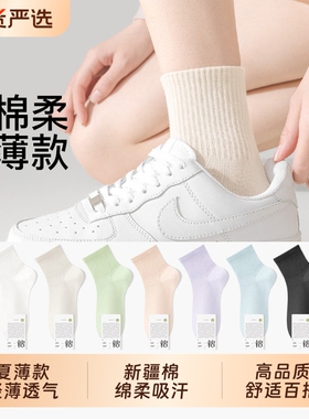 袜子女款短袜棉夏季薄款透气防臭防滑不掉跟2026新款爆款船袜白色