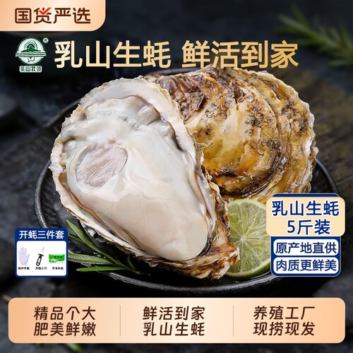 鲜活直发乳山生蚝牡蛎烧烤食材