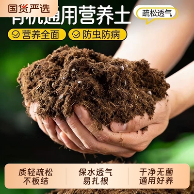 轻质泥炭营养土养花通用种菜育苗透气专用土土壤稻壳发酵蔬菜蛭石