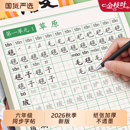 六年级上册练字帖人教版小学